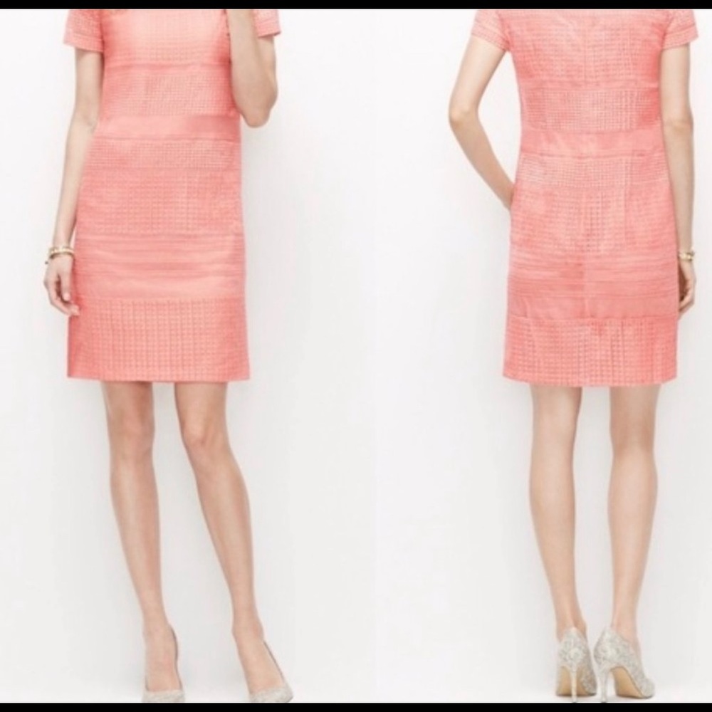 Ann Taylor Blush Pink Embroidered Shift Dress 0